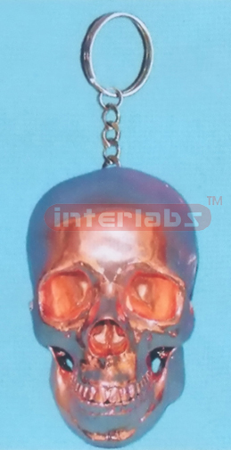 COPPERISED SKULL WITH KEY RING